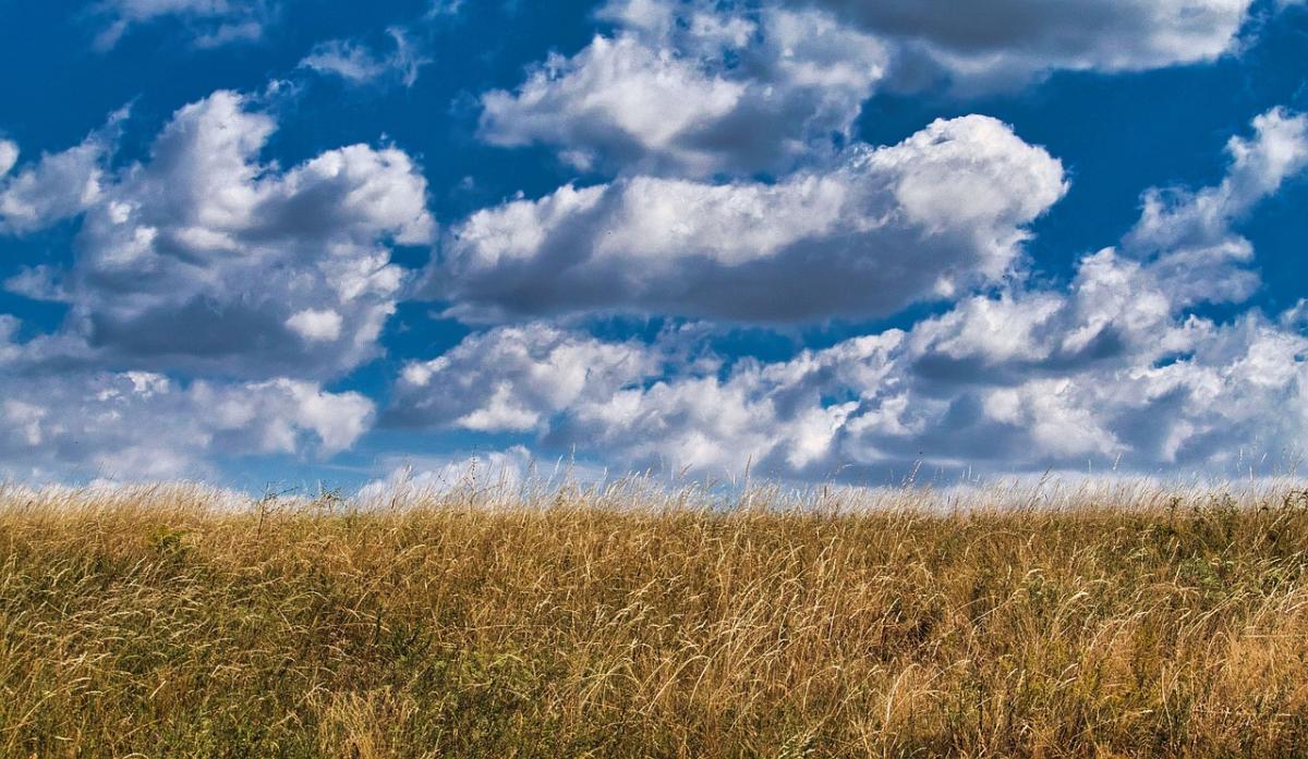 12 серпня Україна опиниться в тилу холодного фронту: що буде з погодою